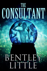 The Consultant LTD